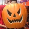 laurie_bashan